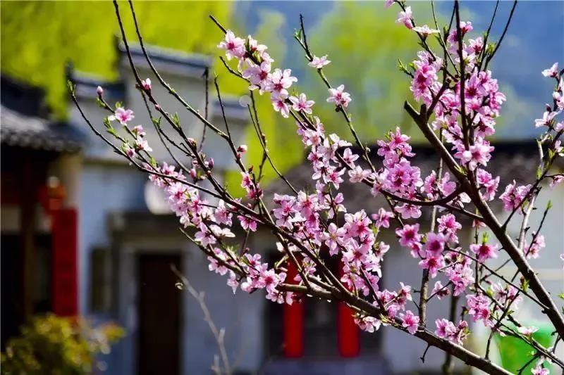 NG������(�Ϲ�)�ٷ���վ-�ֻ���app����