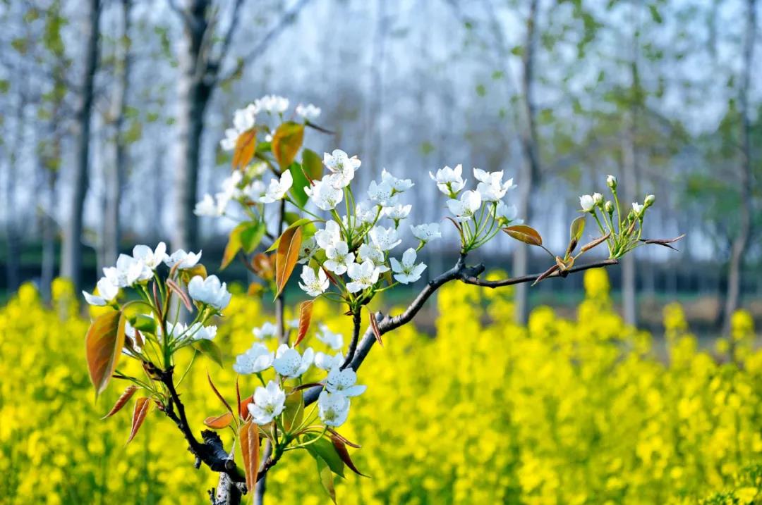 NG��������