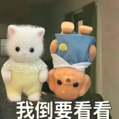 NG体育·(南宫)官方网站-手机版app下载