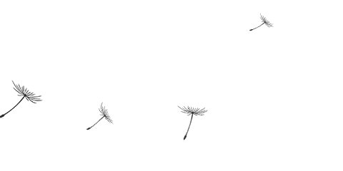 NG������(�Ϲ�)�ٷ���վ-�ֻ���app����