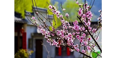 ����������������NG��������һ��չ�ἴδ��Ϯ����������׼����������������